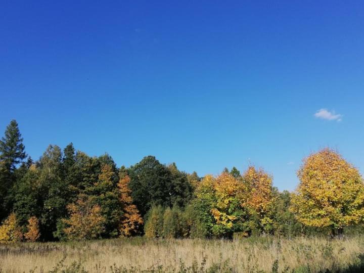 Apartamenty U Golebiewskich Stara Kamienica Buitenkant foto