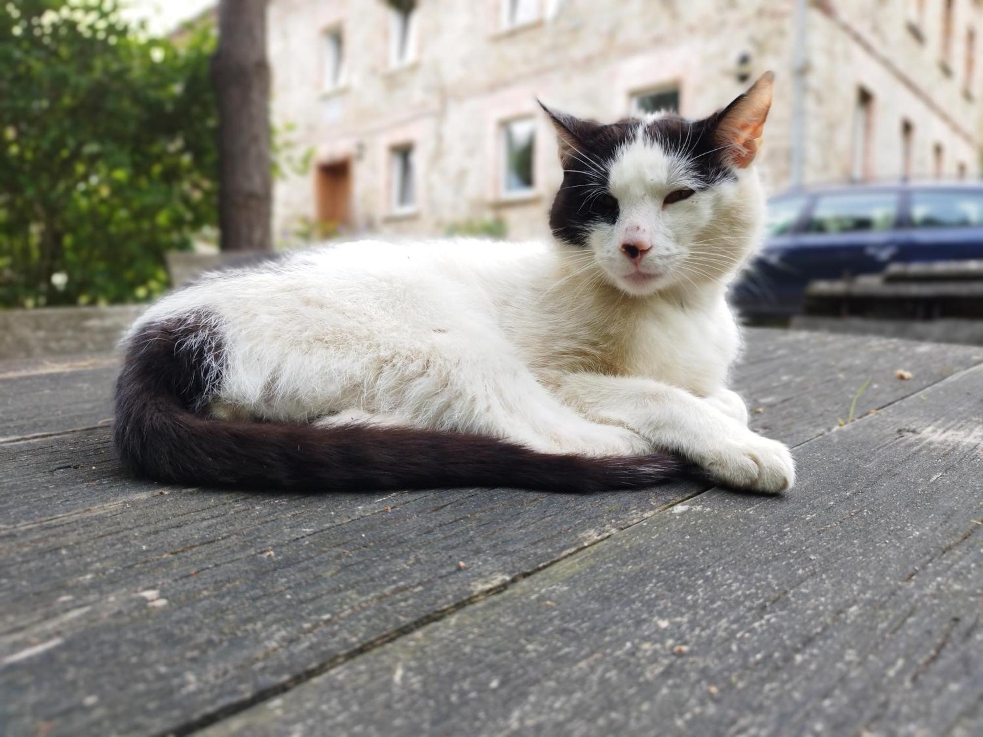 Apartamenty U Golebiewskich Stara Kamienica Buitenkant foto